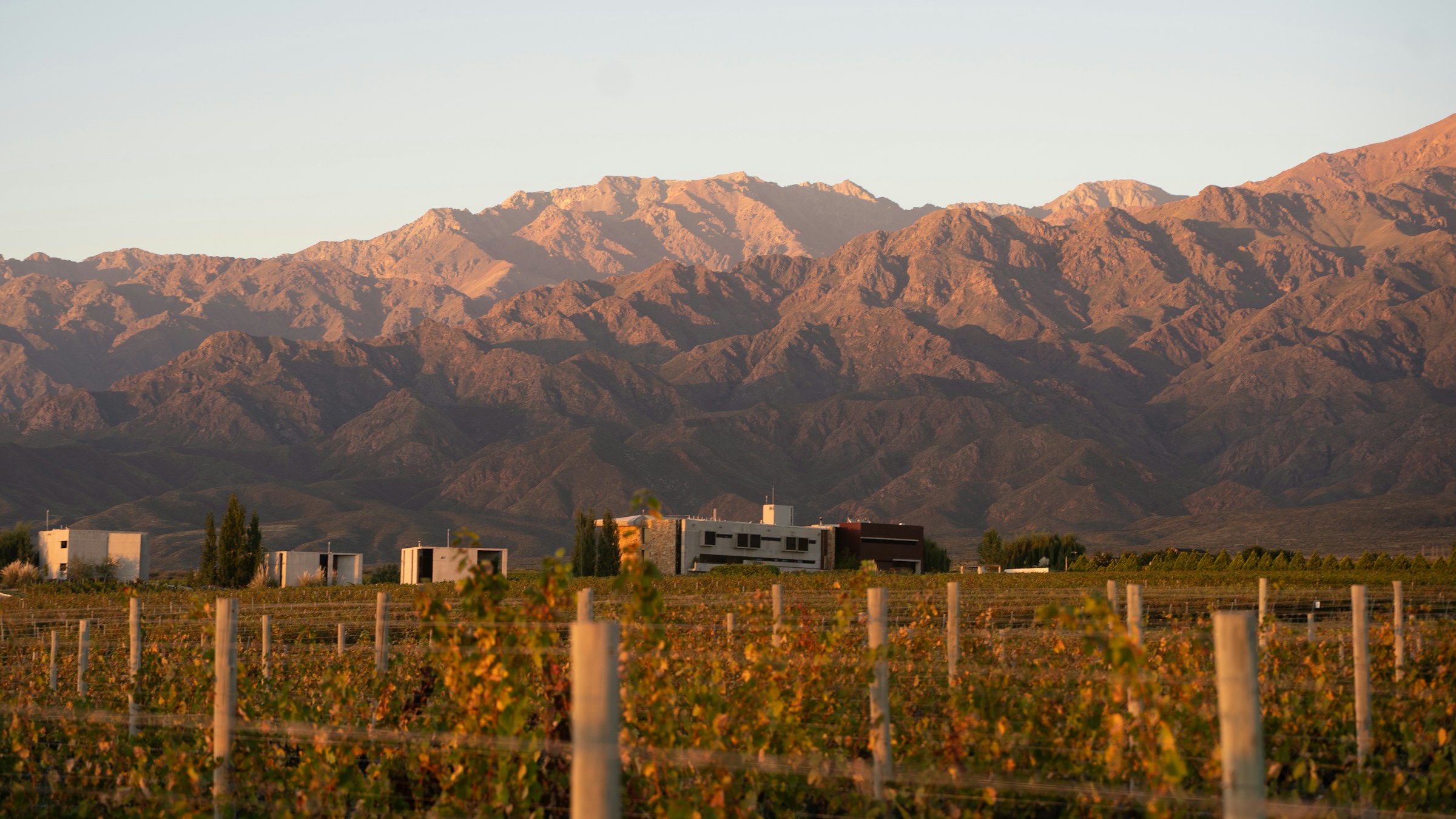 Mendoza landscape